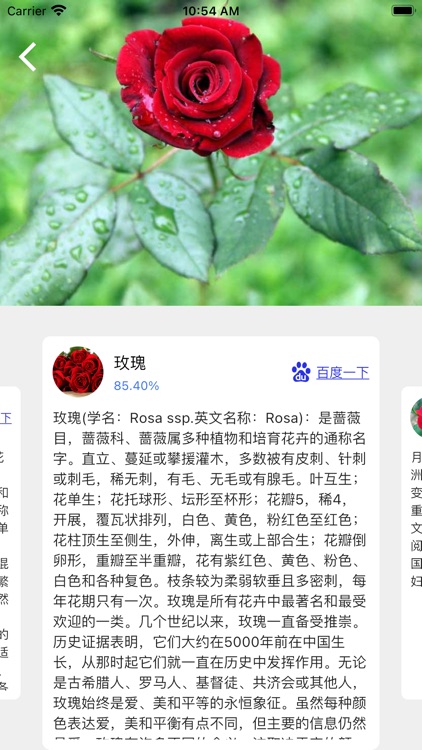 拍照识物 智能识别动植物花果蔬菜货币等by 贤邹