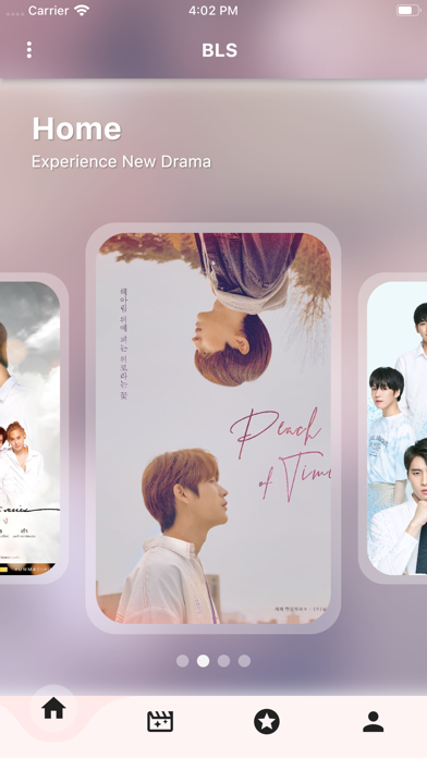 BLScreen PC 용