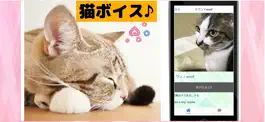 Game screenshot 猫の鳴き声 猫からの応援メッセージ付き apk