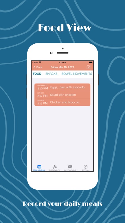 Vees Honey Food Diary