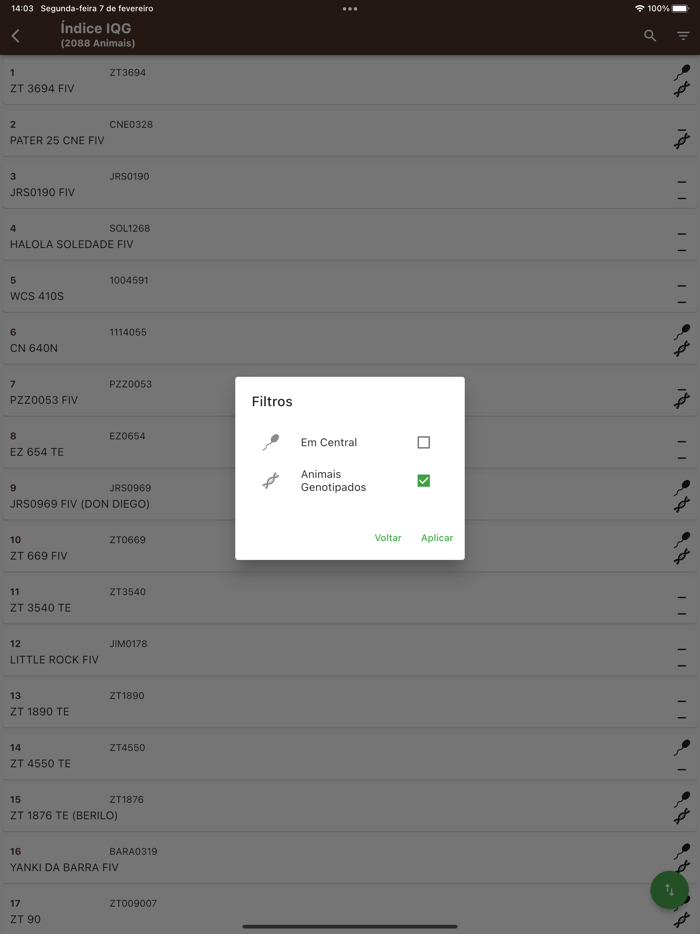 Sumário de Touros Senepol