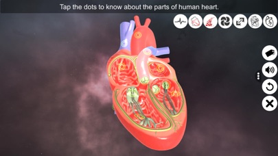 Heart - An incredible pump screenshot 3