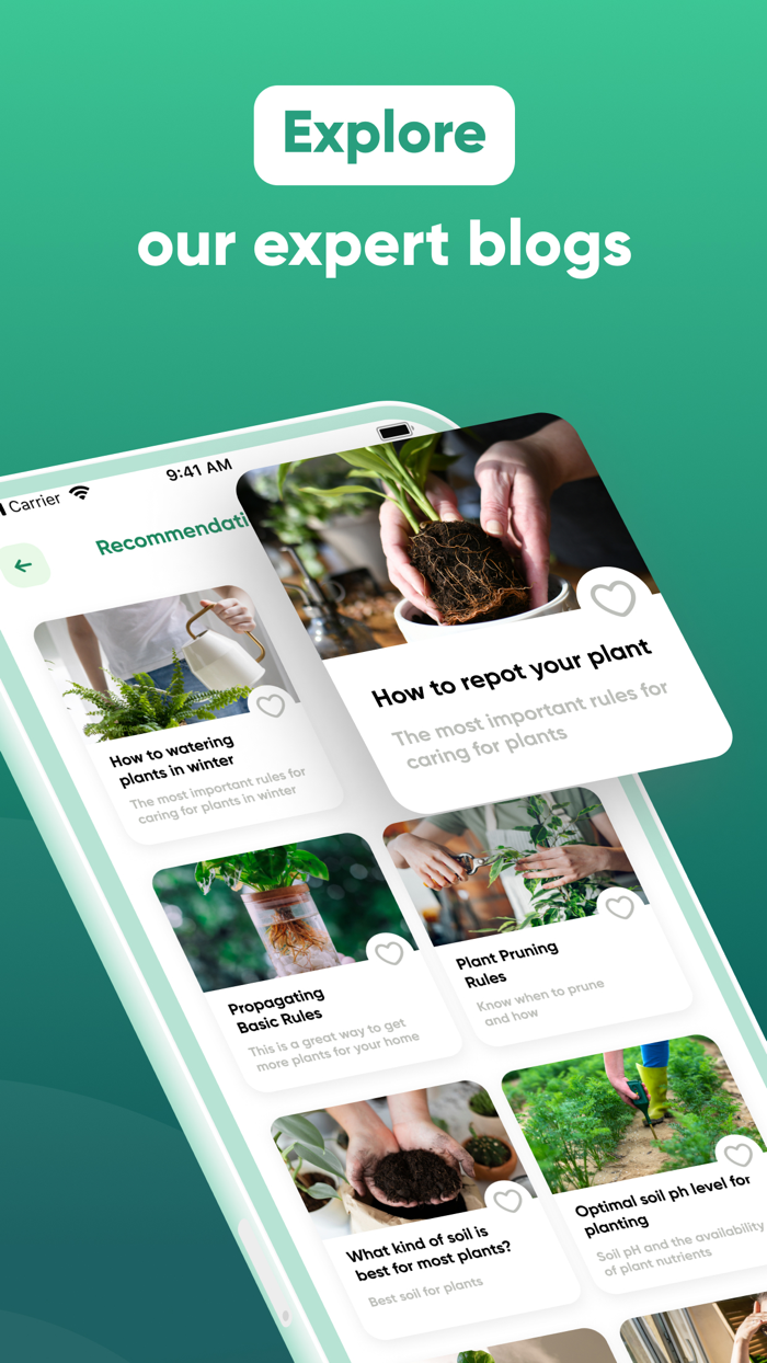 Plant, Flower IdentifierCare