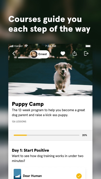 Dog training at home screenshot-3