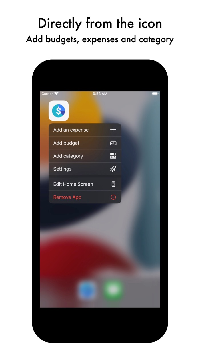 Micro Budget Manager