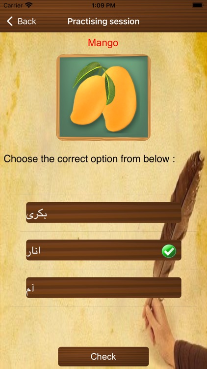 Learn Urdu Language screenshot-3