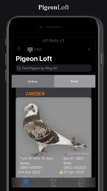 PigeonLoft