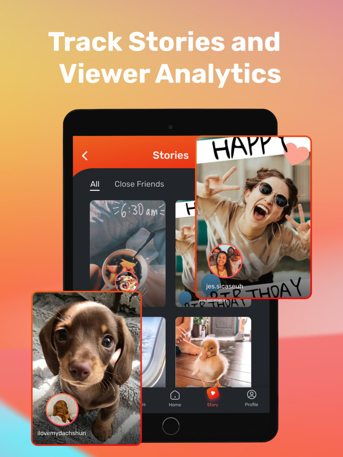 iViews - Followers Tracker