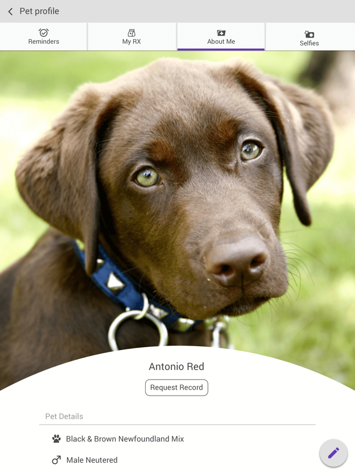 My Pets Vet Clinic Kirkland