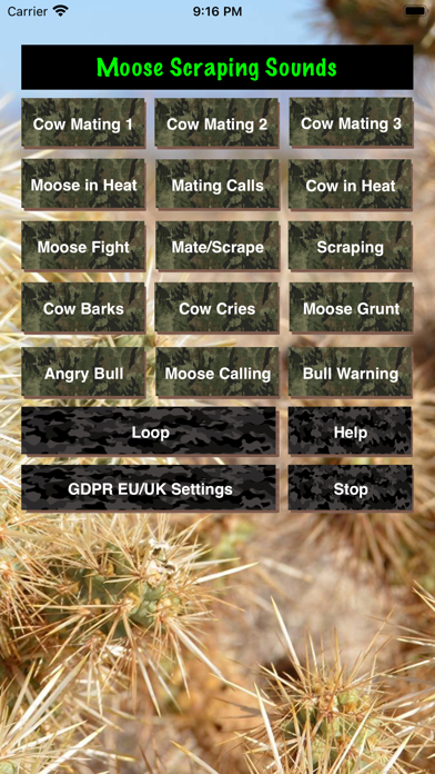 Bull-Cow Moose Hunting Calls screenshot 3