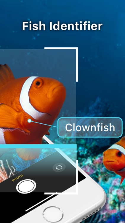 Fish Identifier - Fish ID