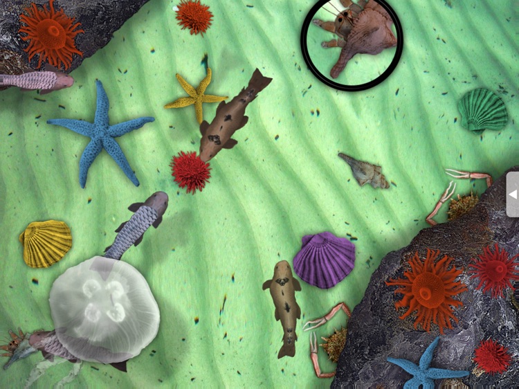 Sensory Worlds - UK screenshot-5