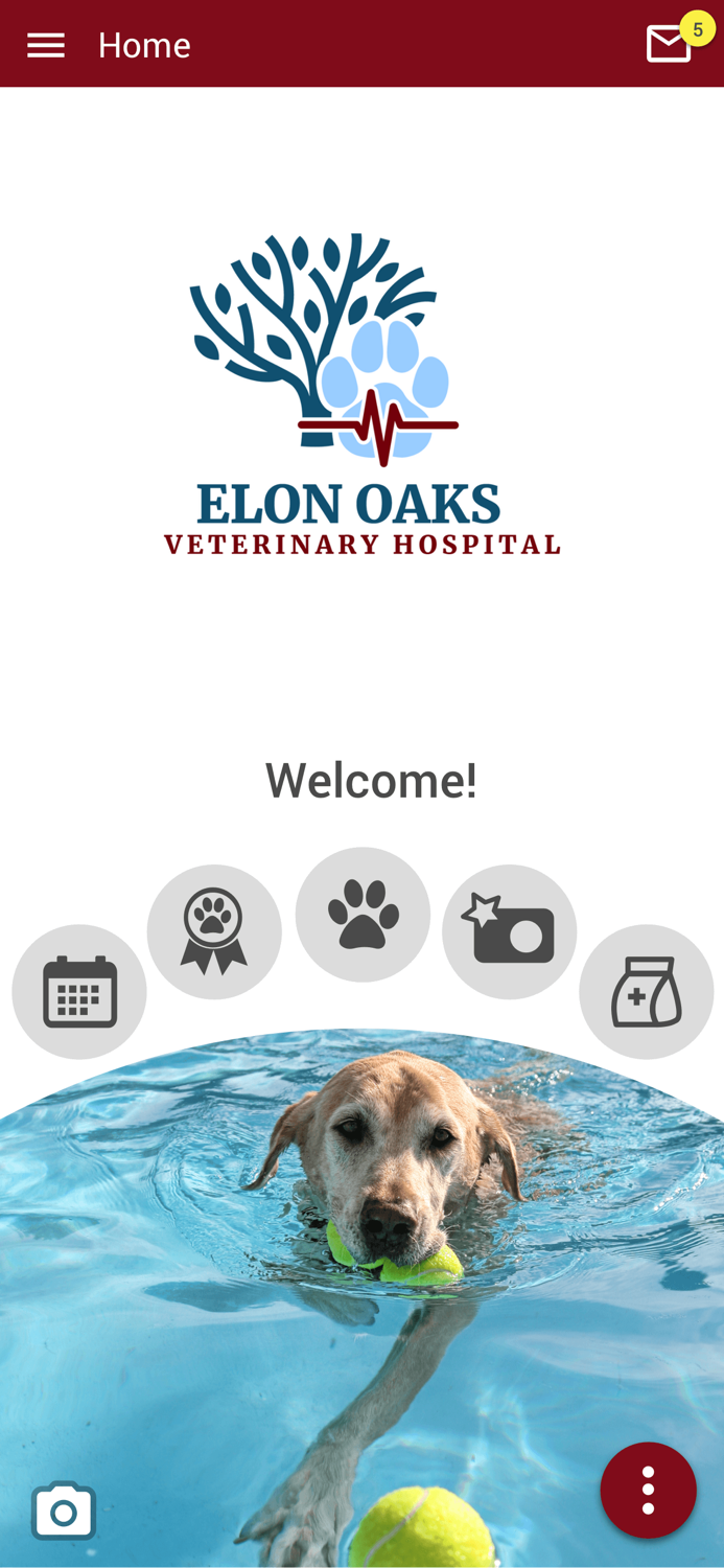 Elon Oaks Veterinary Hospital