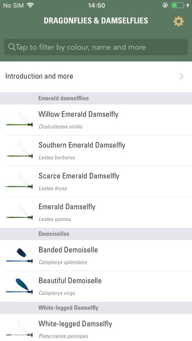 How to cancel & delete Dragonflies & Damselflies of Britain & Ireland from iphone & ipad 1