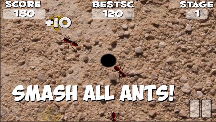 Crush These Ants screenshot-5