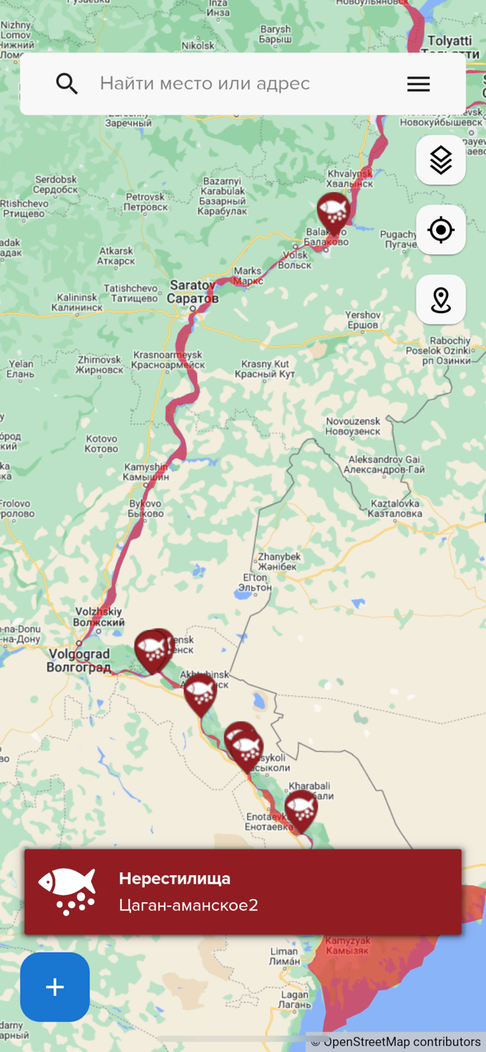 Умная рыбалка