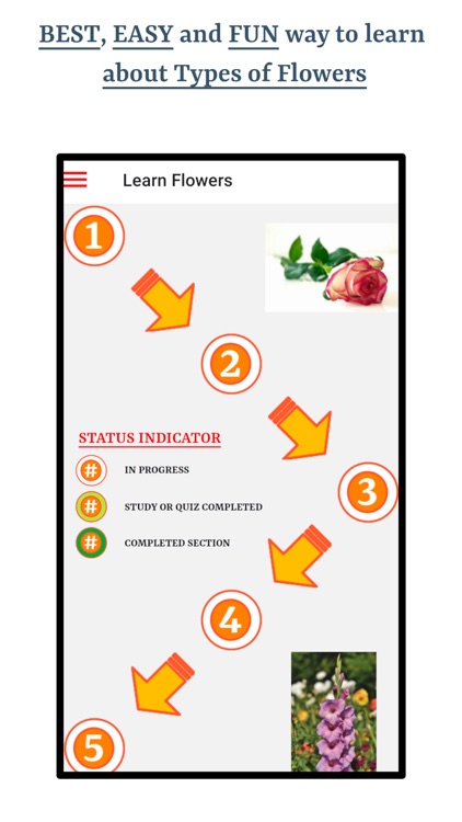 Types Of Flowers