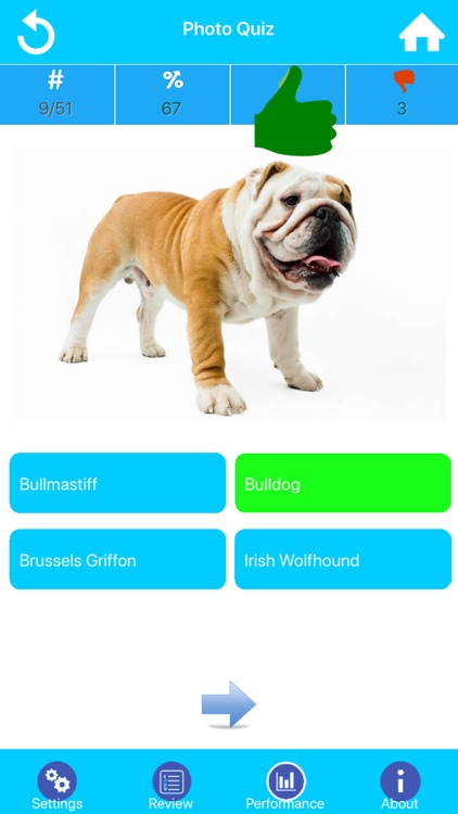 Dog Breeds Guide & Quiz screenshot-3