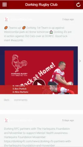 Game screenshot Dorking Rugby Club hack