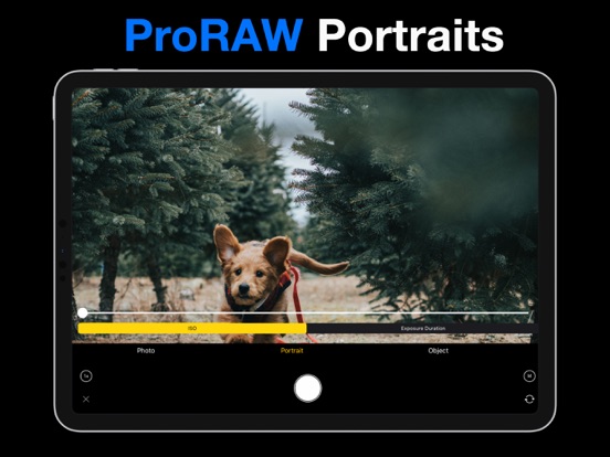 Phocus: Portrait Mode Editor screenshot 2