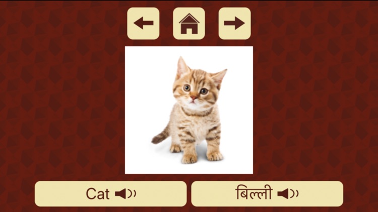 Kids Pre-School Learning screenshot-4