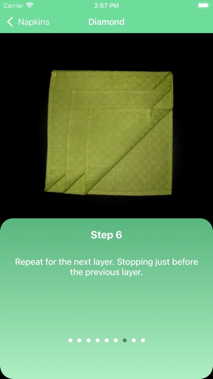 Napkin Folding screenshot-3