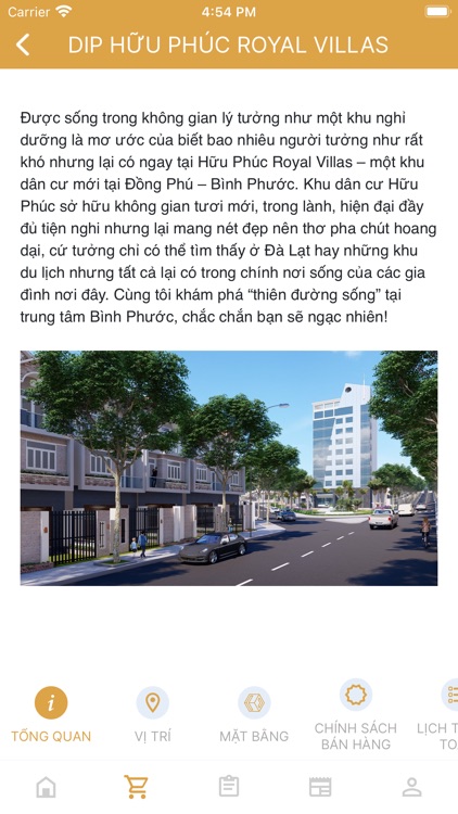 Landsoft Rich Real Holdings