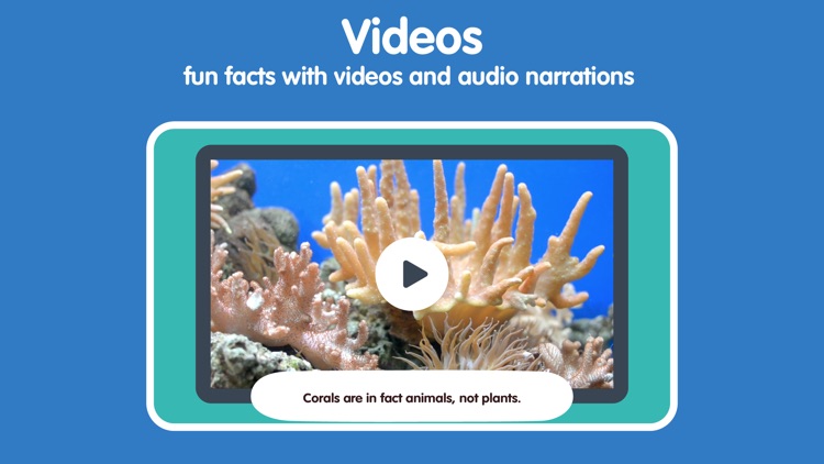 Learn Ocean Animals for kids screenshot-5