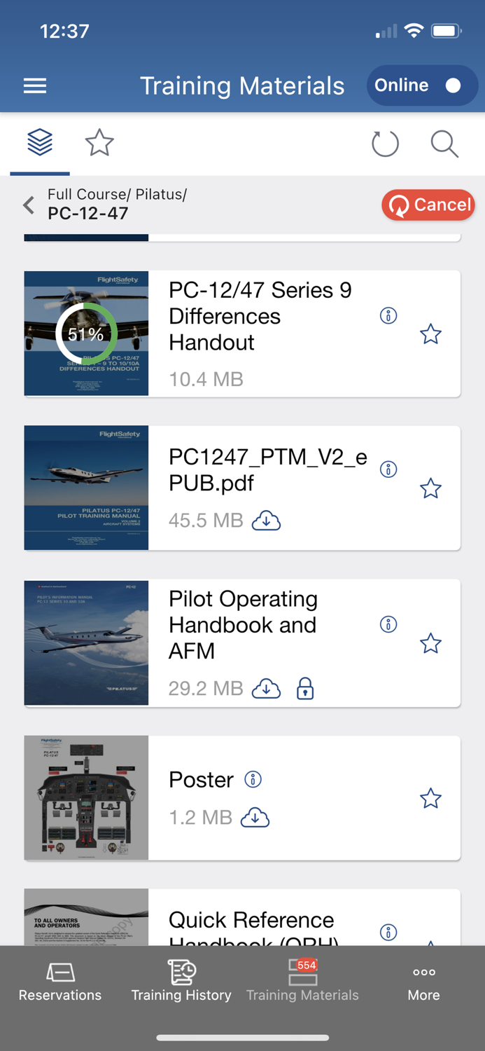 FlightSafety International