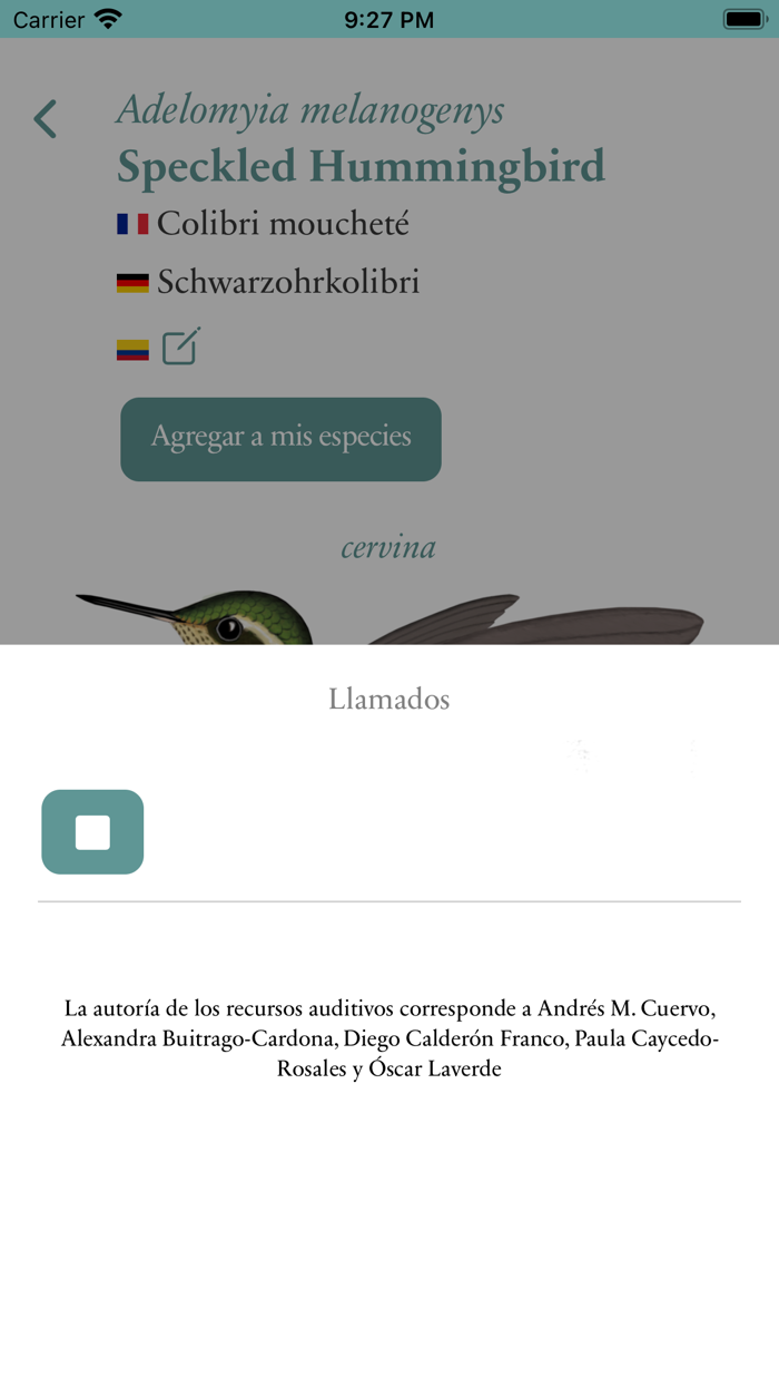 Avifauna Colombiana - BirdScan