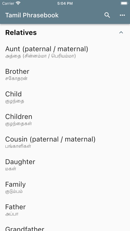 Tamil Phrasebook screenshot-3