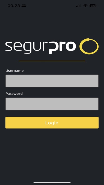 Segurpro Access