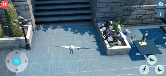 Hungry Pigeon Simulator Game