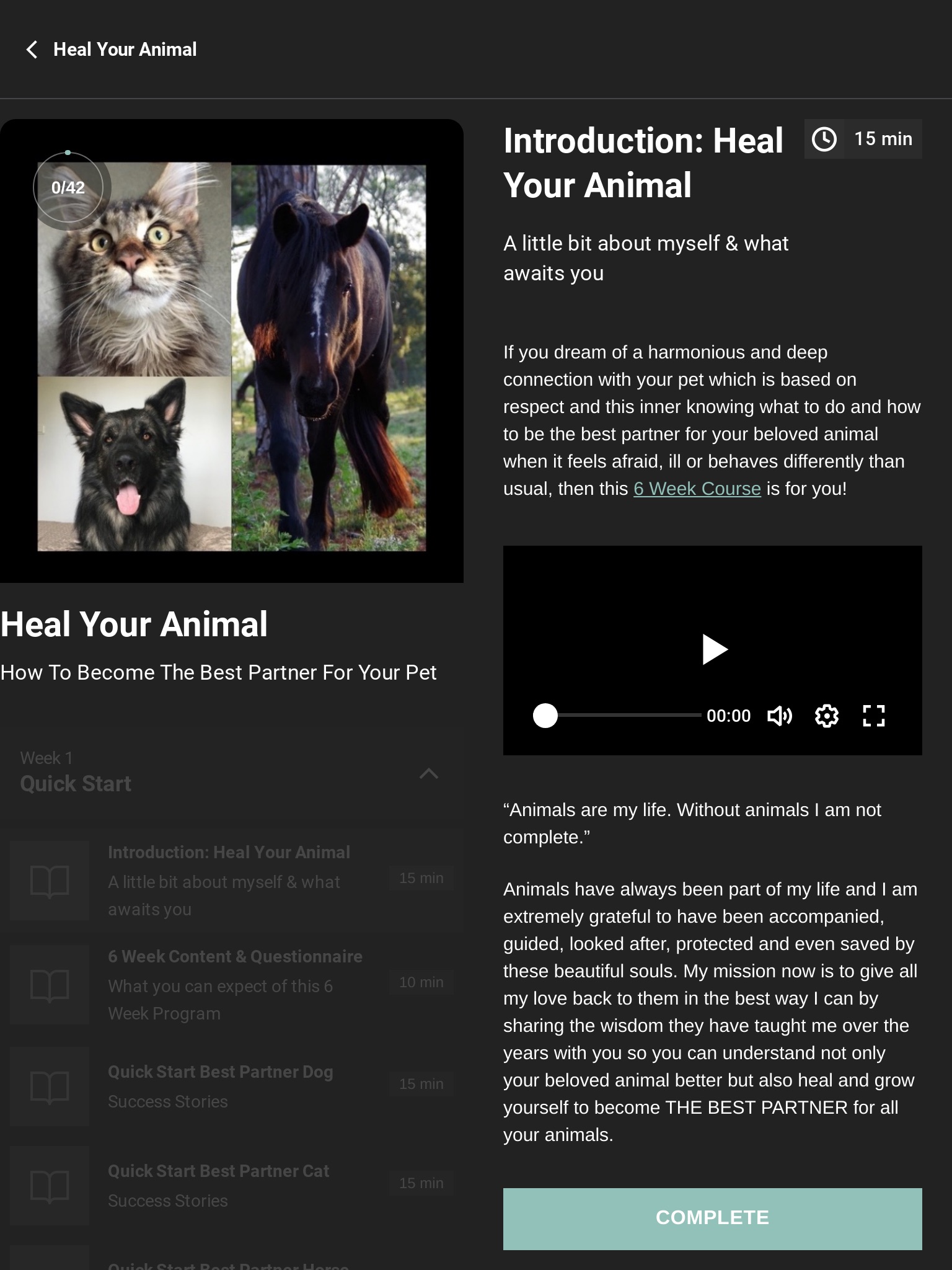 Heal Your Animal screenshot 4