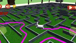 Game screenshot Maze Escape: Rabbit Runner mod apk