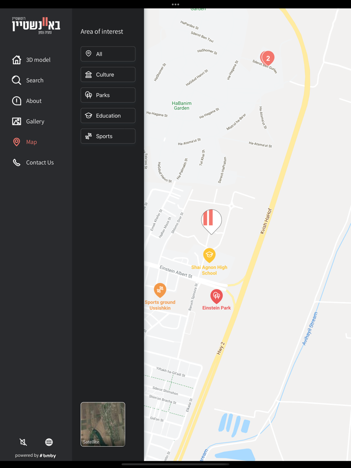 Einstein by Rotshtein