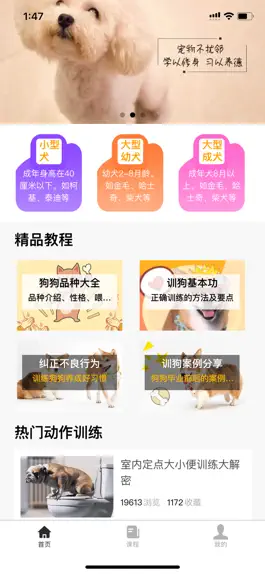 Game screenshot 训狗教程 mod apk