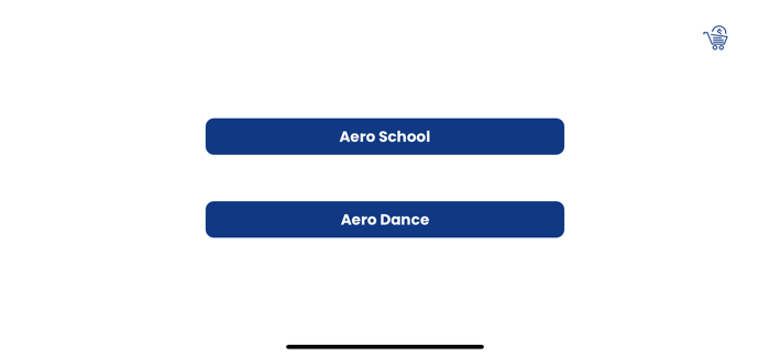 AeroSchools