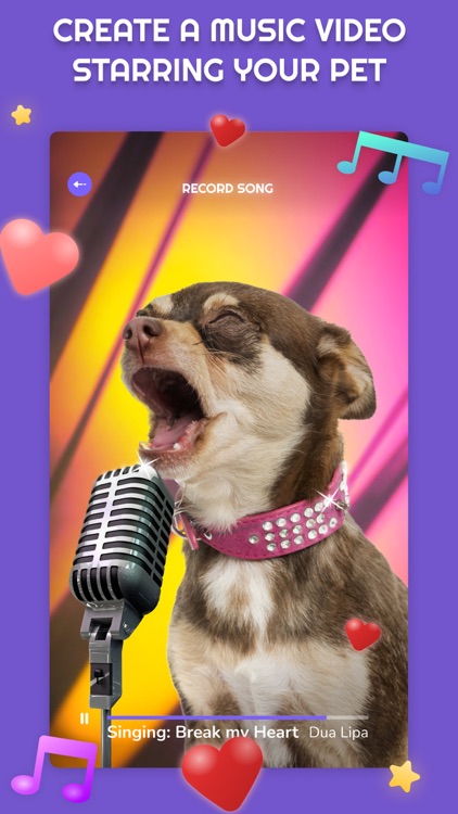 PetStar: My Pet Sings & Dances screenshot-0