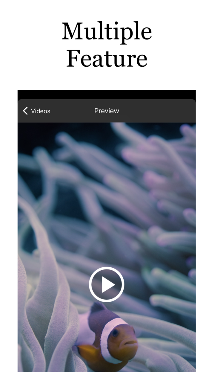Viditor Powerful Video Editor