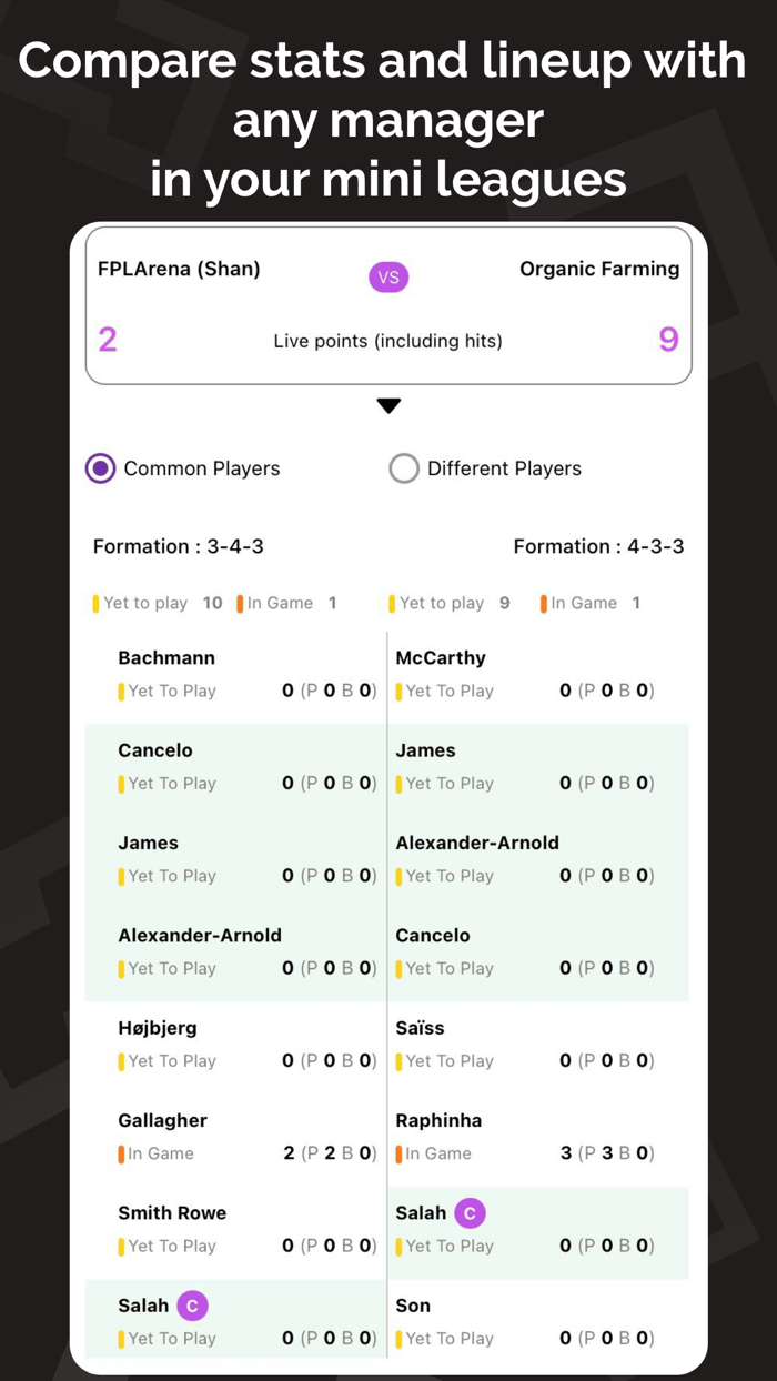 FPL Football Mini League Arena