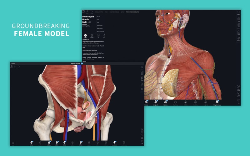 Complete Anatomy 22 Screenshot