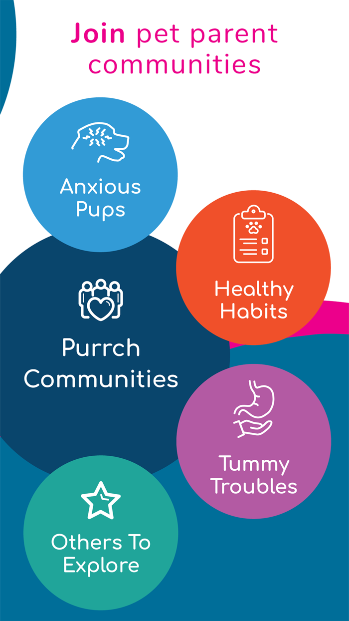 Purrch Find answers  support