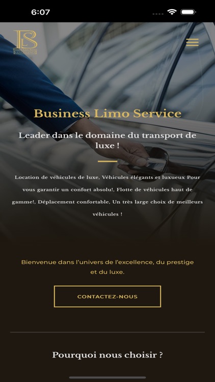 Business Limo Service