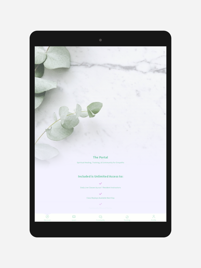 Blissful Bohemians The Portal