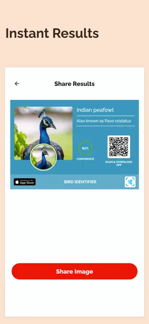 Captura de Pantalla 8 Bird Identification: Bird App iphone