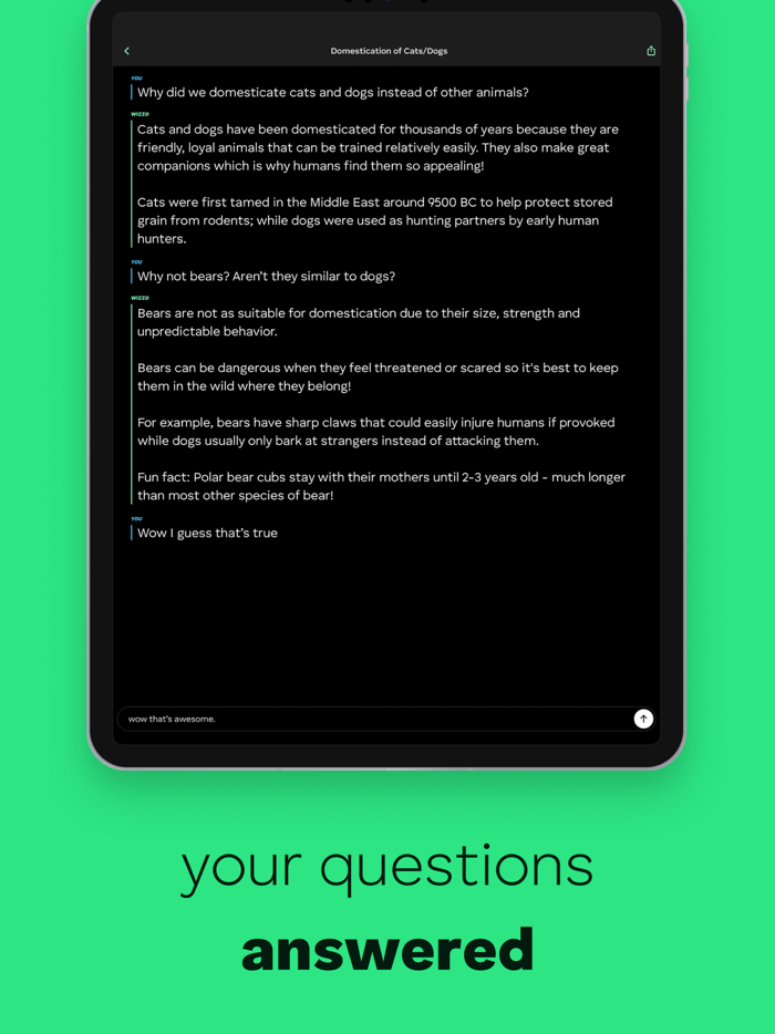 Ask Wizzo - Learn anything