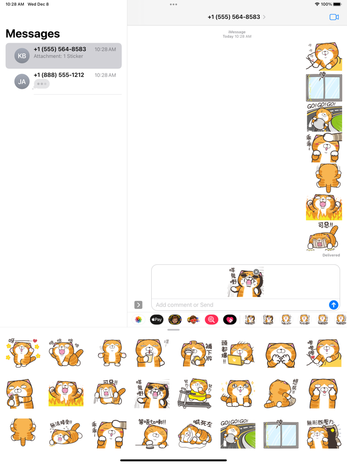 白爛貓19-動激動HK