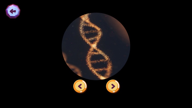 My Room Exploration Game screenshot-8