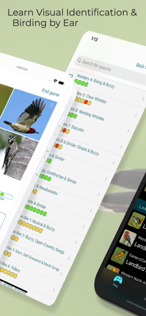 ‎Larkwire—Learn Bird ID Capture d'écran